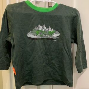 Icebreaker merino wool long sleeve shirt